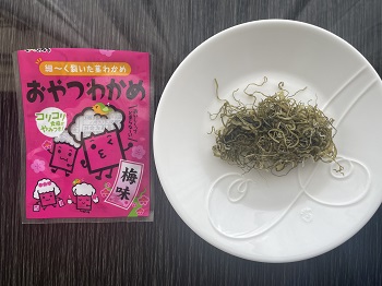 梅　皿と袋